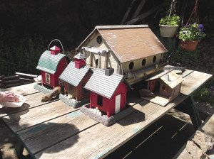 Margaret has five chipmunk houses, among other toys in her yard.