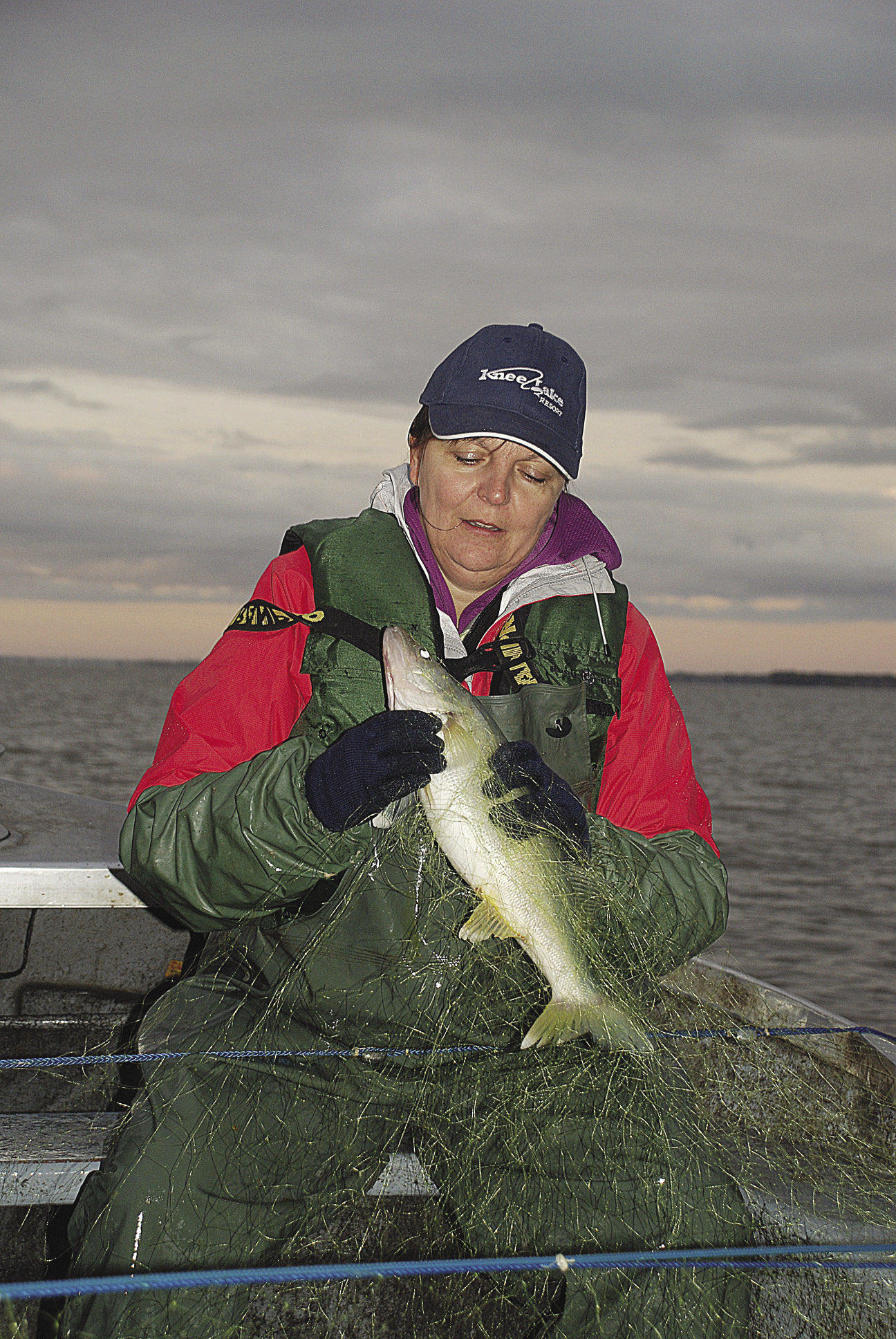 A few years ago, after I wrote about pickerel fishing on Lake Winnipeg, a retired fish biologist contacted me to say that we had actually been fishing for walleye not pickerel. Here’s my friend Shel holding her catch. Walleye or pickerel? |ELLE ANDRA-WARNER