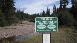 Bull Trout Country. |SHAWN PERICH