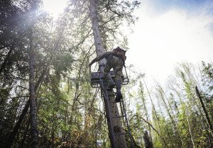 Gord Ellis gingerly climbs a tree stand. |KAIJA KOLEHMAINEN