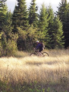 Beautiful day, spectacular ride. |ERIN ALTEMUS