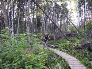 Not all trails are dirt. Boardwalks and bridges keep it interesting. |MATTHEW SCHMIDT