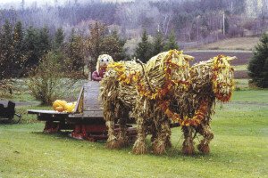 Gammondale Farm's Pumpkinfest includes dozens of family friendly autumn activities. |SUBMITTED