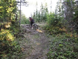 Umm, this is a bike trail? | MATTHEW SCHMIDT