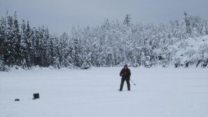 An early, wet snow created a winter wonderland in the forests of the North Shore.| Shawn Perich