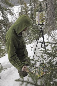 Artists, such as painter Ken Marnowski, can be found outdoors during the Winter Plein Air Festival. | MARK TESSIER 