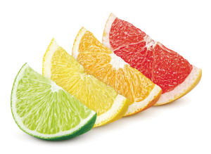 bigstock-Sliced-Citrus-_fmt