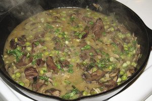Venison stew prepared by the author. | Julia Prinselaar
