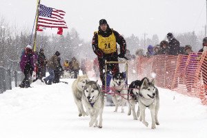 The Steger WolfTrack Classic Sled Dog Race offers a challenging competition well suited for experienced mushers or those just beginning. | Scott Stowell