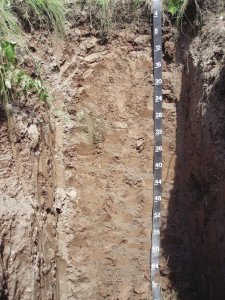 Amnicon clayey soil. | SUBMITTED