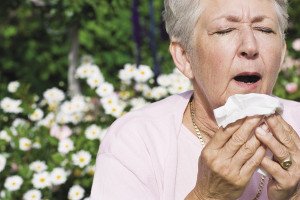 Allergies are common for many people this time of year. | STOCK