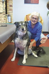 Dr. Claudia Cottrell’s patients consist of dogs, cats and horses. | Submitted