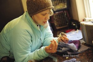 Wildwoods rehabilitates wild animals, such as this infant squirrel [above] and juvenile bald eagle [below right]. | TRUDY VRIEZE