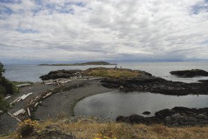 Driving on the Scenic Marine Drive, we came across this interesting site. A plaque by Oak Bay Heritage read, “Small islet and adjacent shore were once an indigenous encampment connected with the village of McNeill Bay. The people living here ate over 20 species of fish and 15 species of birds as well as deer, sea mammals, raccoon and marten. Across the water lies Trial Island, Tlikwaynung, a place where there were lots of seals.”