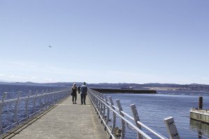 There’s a sense of adventure as you ‘walk on water’ on the Ogden Point Breakwater Walkway, which juts out a half-mile on the Straits of Juan de Fuca to a lighthouse at the end. The Olympic Mountains in Washington State are across the waters. Built over a hundred years ago, it used one million tons of rock and 10,000 granite blocks. 