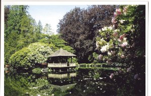 This beautiful four-acre Japanese Garden exudes serenity and tranquility. My favourite spot was the teahouse on a mirror-like pond and the lush surroundings of Japanese maples, flowers and shrubs. 