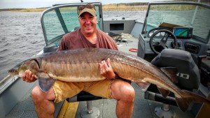 Joe Anderson of Central Lakes caught and released a Rainy Lake sturgeon that may have topped the official state record while fishing in a tournament held by Sportsman's Lodge on May 6.