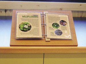 The Nature Center has six stations where chiildren learn the natural history of the area. | Submitted