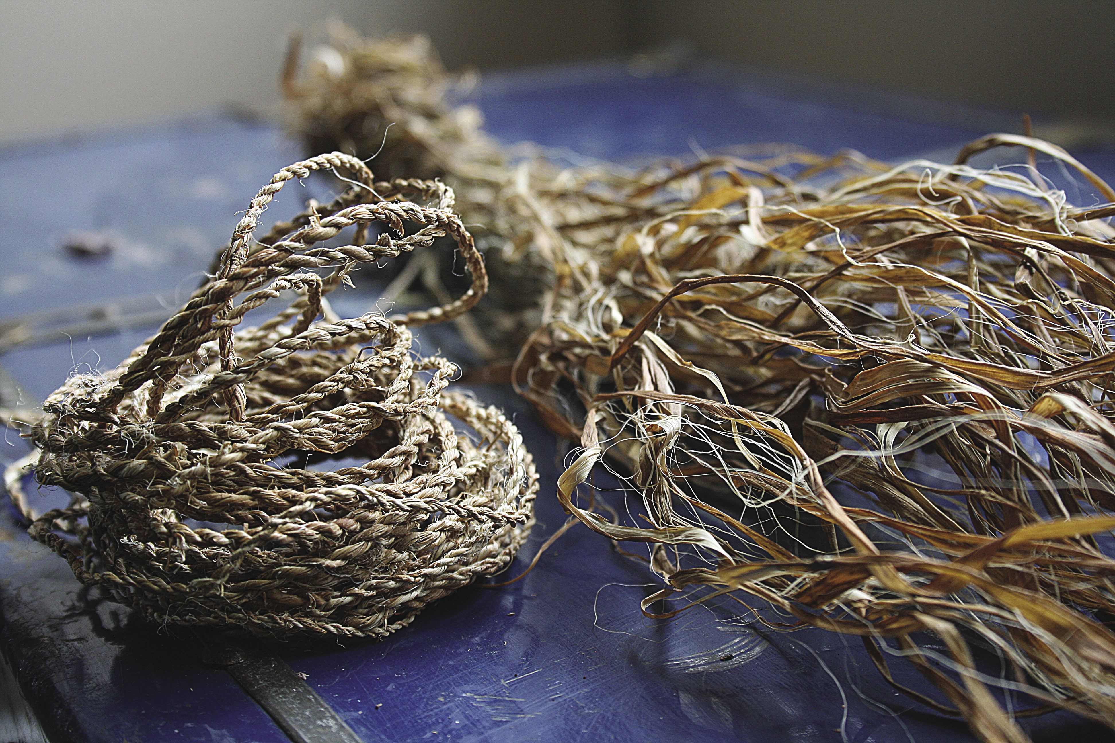 Rush cordage twined with cotton string. #twined baskets #basketry #fibres  #string #textiles #handmade