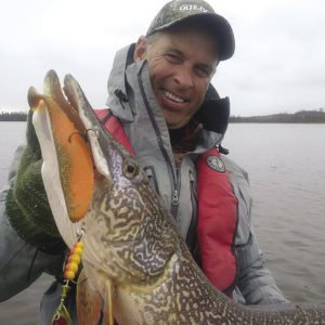 Giant pike are part of the appeal of Black Bay. | GORD ELLIS