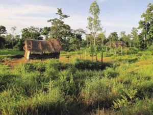 Cambodia, located in Southeast Asia, is bordered by Thailand, Laos and Vietnam. | MICAELLA PENNING