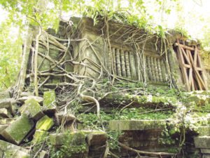 Trees and thick brush grow over the wall and windows of Beng Mealea. | MICAELLA PENNING