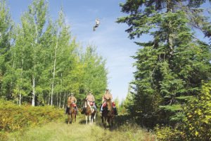 The Gunflint Lodge and Outfitters offers horse rides, as well the Towering Pines Canopy Tour. | GUNFLINT LODGE