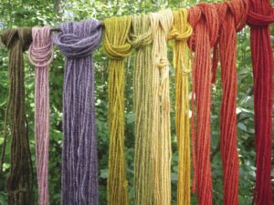 Skeins of wool dyed with St. John’s Wort, madder, purple corn husk and other plants gathered from the  Great Lakes region. | JULIA PRINSELAAR