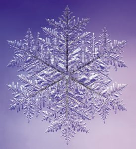 This monster snow crystal, photographed by Dr. Kenneth Libbrecht, is reported to be the largest snow crystal ever photographed. It was taken in Cochrane, Ontario, when the temperature was near -15 degrees C. (5 degrees F). | DR. KENNETH G. LIBBRECHT