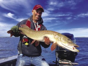 It was about 25 degrees Celsius in late September when Ellis caught this Lake Nipigon pike. | GORD ELLIS