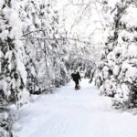 Walking the North Shore during the winter
