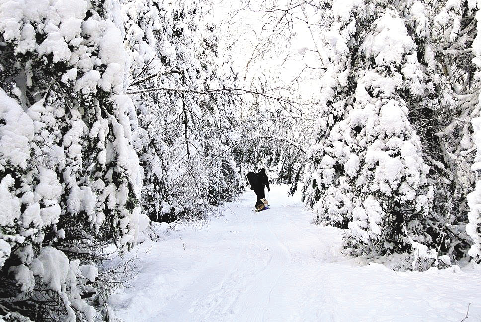 Walking the North Shore during the winter
