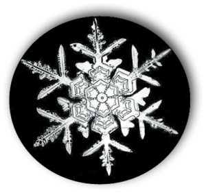 Snowflake photographed by  Wilson Bentley. | WILSON BENTLEY