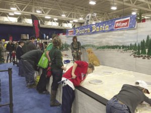 The Arrowhead Winter Show will feature free ice fishing with the frozen basin display. | SUBMITTED