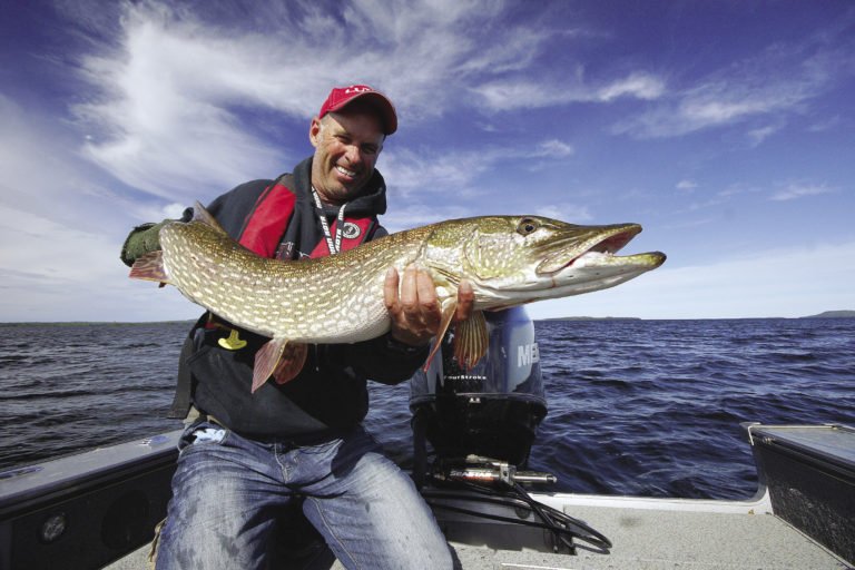 My Favourite Fish To Eat Northern Wilds Magazine