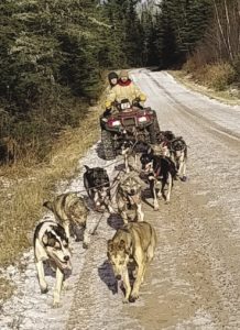 Early October snow has made for happy dogs and good training this year. | ERIN ALTEMUS