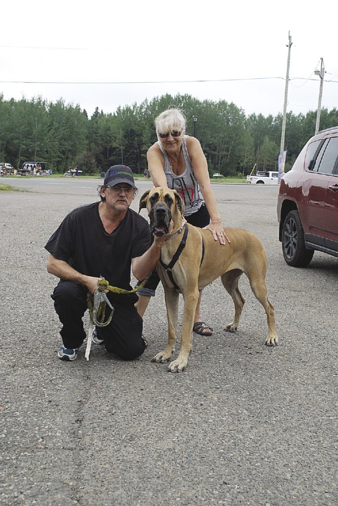 Margaret Foster-Hyde met up with trucker Garnett from Sky Freightways Ltd. and dog Amore at Kakabeka Falls Hotel. Margaret started the volunteer non-profit group in 2013 to provide free transport by truckers to move dogs (and now cats, too) to their new homes.
