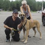 Margaret Foster-Hyde met up with trucker Garnett from Sky Freightways Ltd. and dog Amore at Kakabeka Falls Hotel. Margaret started the volunteer non-profit group in 2013 to provide free transport by truckers to move dogs (and now cats, too) to their new homes.