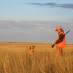 Flushing live pheasants and finding downed birds is nearly impossible without the capable assistance of a hunting dog. | SHAWN PERICH