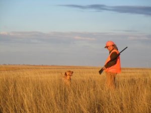 Flushing live pheasants and finding downed birds is nearly impossible without the capable assistance of a hunting dog. | SHAWN PERICH