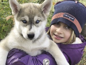 Teaching the next generation of sled dogs and mushers.