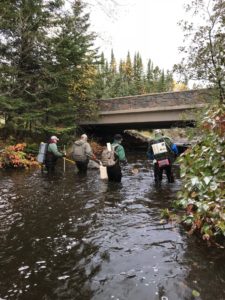 The DNR and volunteers seek brook trout beneath the Highway 61 bridge on Kadunce Creek.