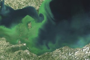 Algae blooms on Lake Erie (pictured) are already common due to warmer water temperatures and higher levels of nutrients. Lake Superior—known for its clear, cold water—only began experiencing algae blooms in the past several years.