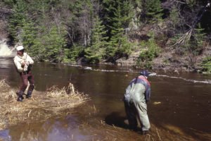 Chip Leer plays in a Portage Creek rainbow as Jon George nets it.