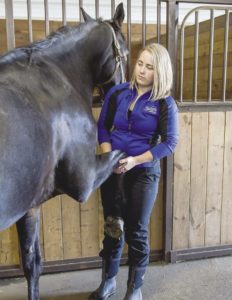 Hannah Hambly of Thunder Bay provides equine massage therapy.