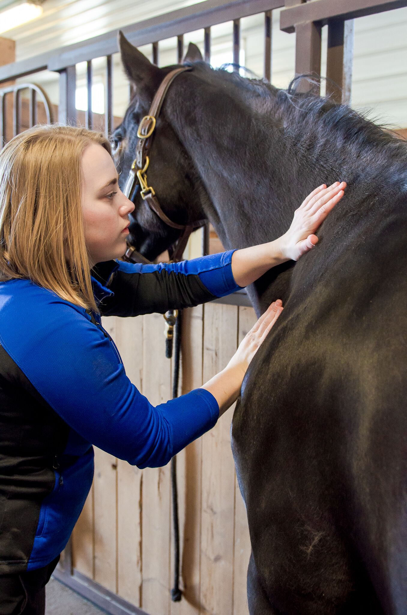 Hambly uses methods derived from traditional Swedish massage techniques. BIRDSEYEPHOTO