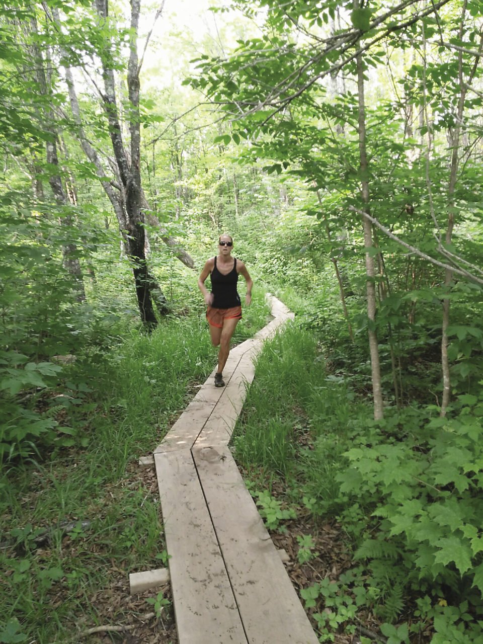 Peaceful stretches like this one give the Tofte Trek its wilderness feel.
