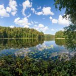 Blue sky with clouds reflecting in calm water of summer lake in a boreal forest, Panoramic view with birch trees and water lilies seen in foreground