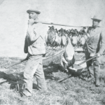 Pioneer hunters found an abundance of game in pioneer Minnesota.