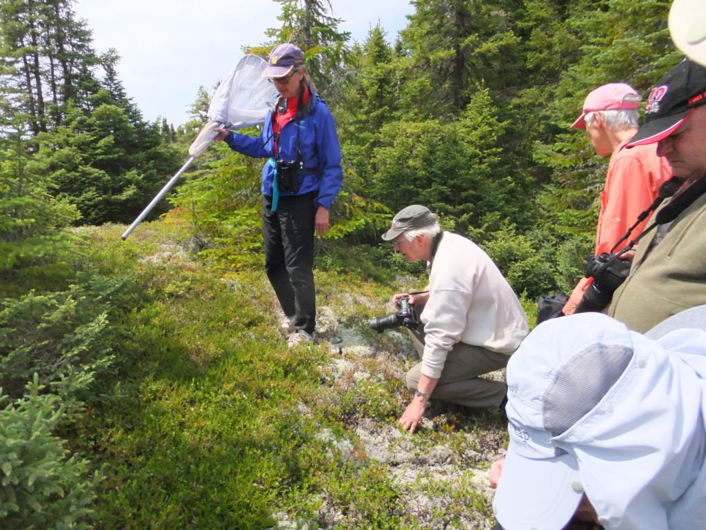 Field trips are organized every weekend through the summer months.